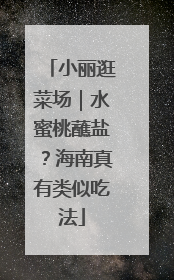 小丽逛菜场｜水蜜桃蘸盐？海南真有类似吃法